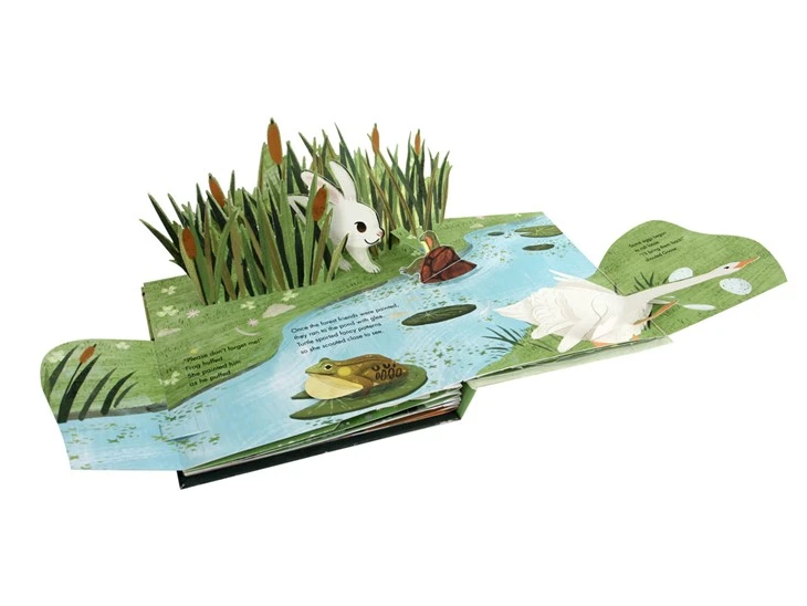 Elaborate Pop Up Books