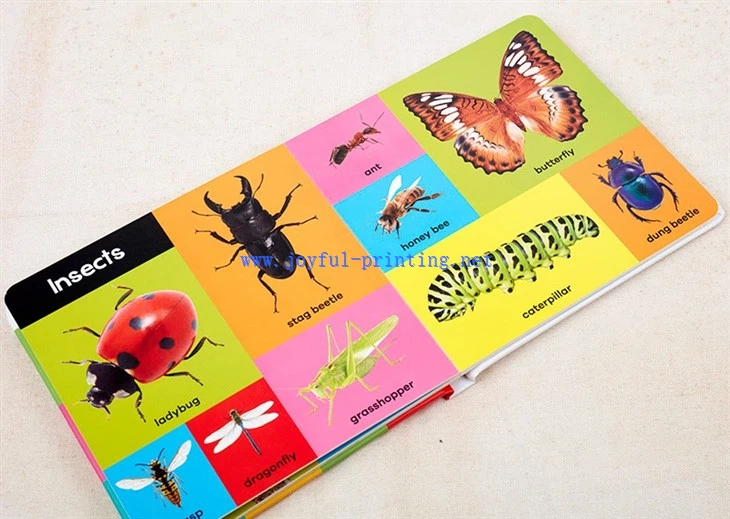 board book for kids